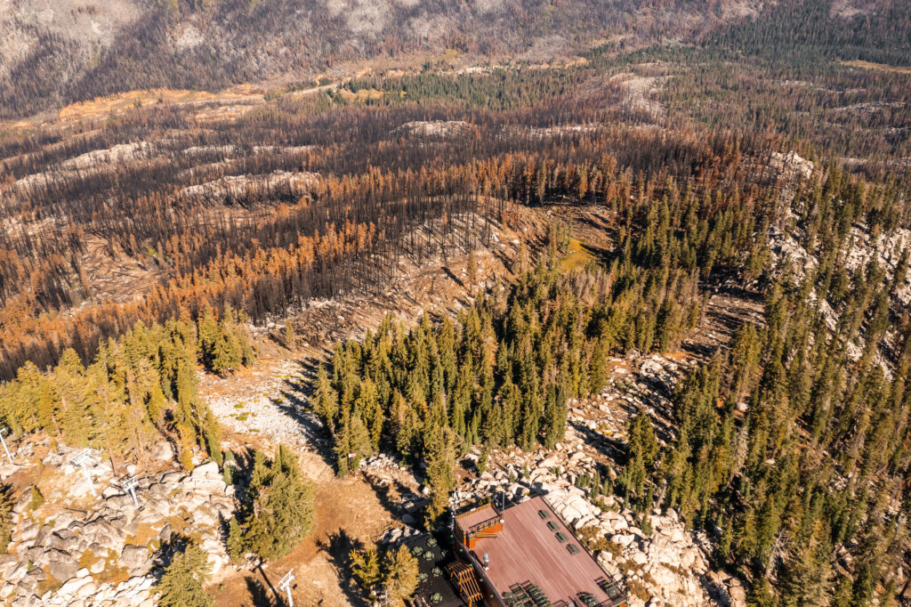 Impacts of the Caldor Fire