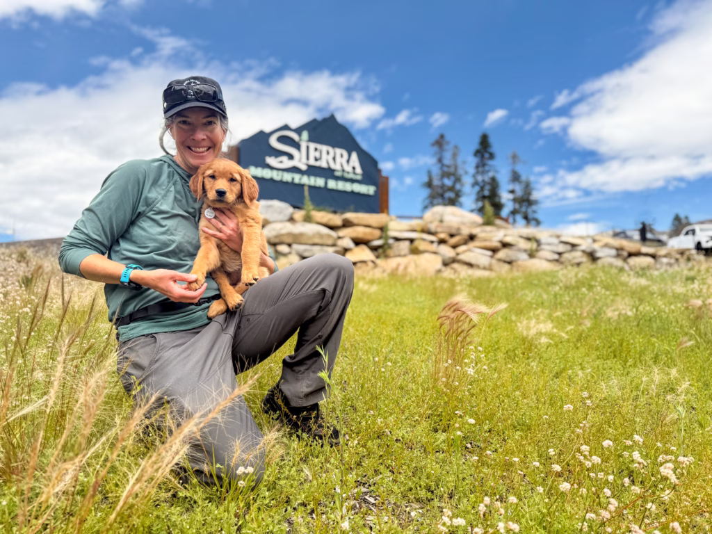 avalanche do, Sierra-at-Tahoe